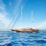 ГУЛЕТ COBRA KING - ГЁДЖЕК