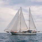 ГУЛЕТ KAYHAN 3 - ФЕТХИЕ