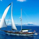 ГУЛЕТ A.ESER - БОДРУМ