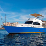 ЯХТА SYANA - БОДРУМ