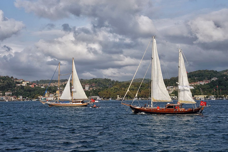 ГУЛЕТ TRIPPIN- БОДРУМ