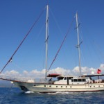 ГУЛЕТ DIAMOND LILA - ФЕТХИЕ