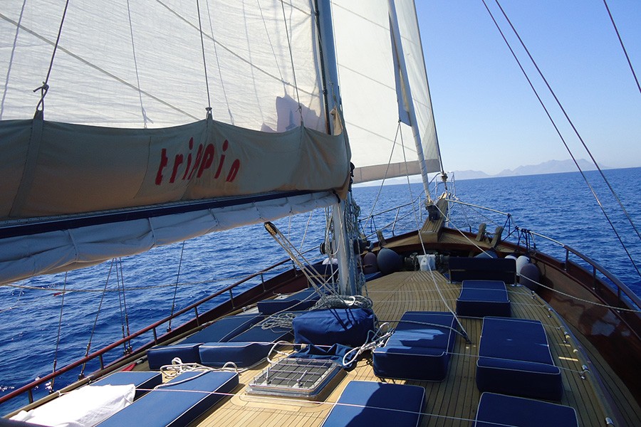 ГУЛЕТ TRIPPIN- БОДРУМ