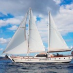 ГУЛЕТ L04-174 - БОДРУМ