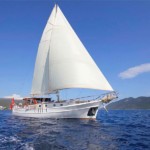 ГУЛЕТ ZORBAS - БОДРУМ