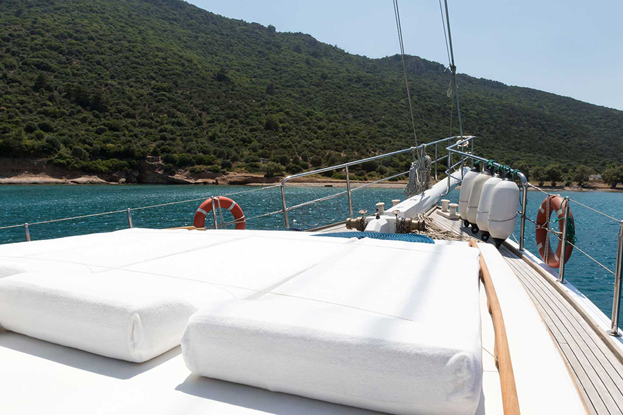 ГУЛЕТ AQUAVIT - ГЕДЖЕК