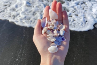 Правильные вопросы при выборе яхты